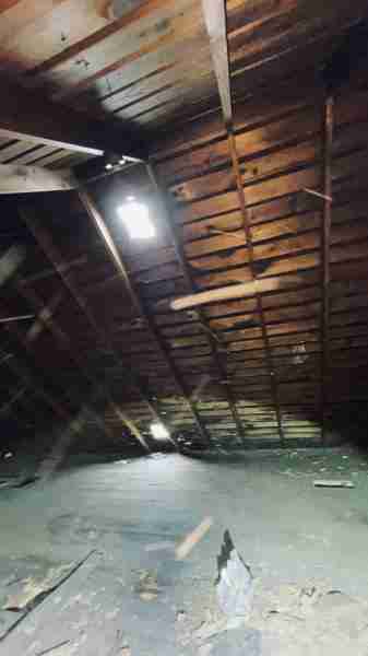 4519267_0032 (2).jpg